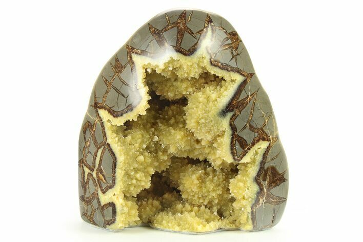 Polished, Crystal Filled Septarian Nodule - Utah #272923